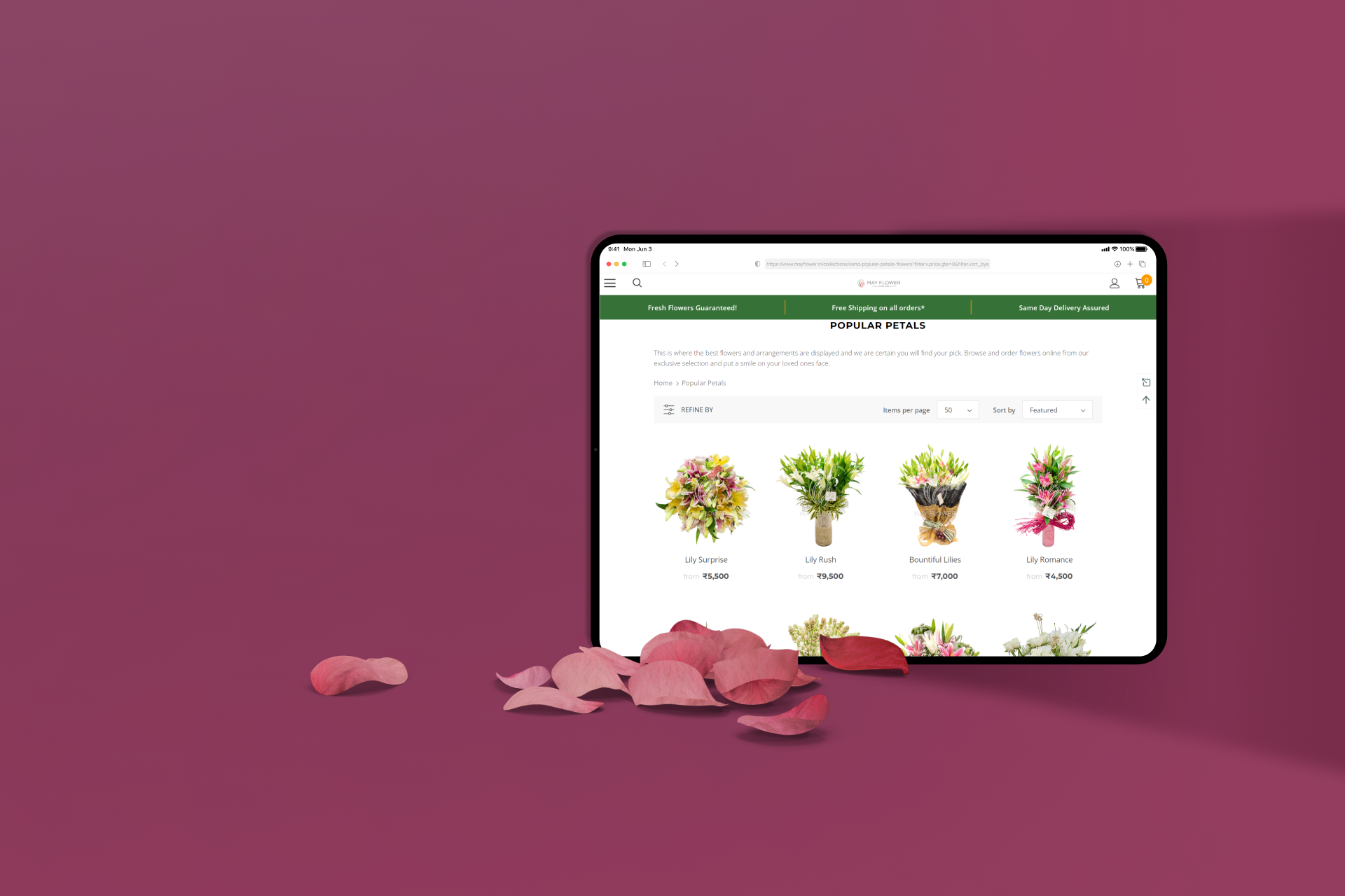 Mayflower Online Florist